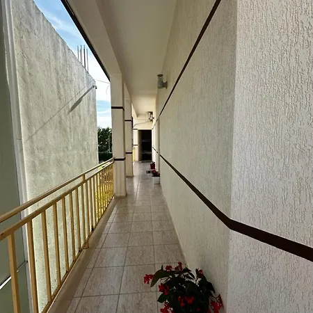 Ani-t